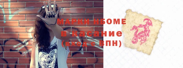 шишки Алексин
