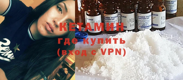 шишки Алексин