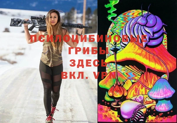шишки Алексин